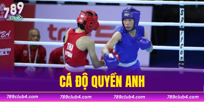 Cá Độ Quyền Anh