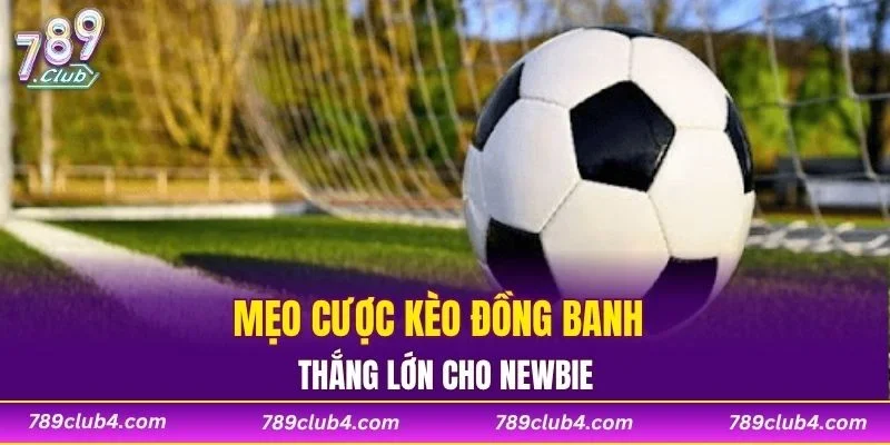 Mẹo cược kèo đồng banh thắng lớn cho newbie