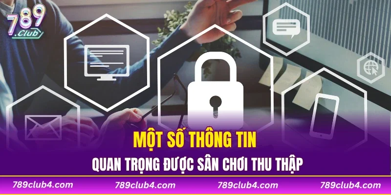 Một số thông tin quan trọng được sân chơi thu thập