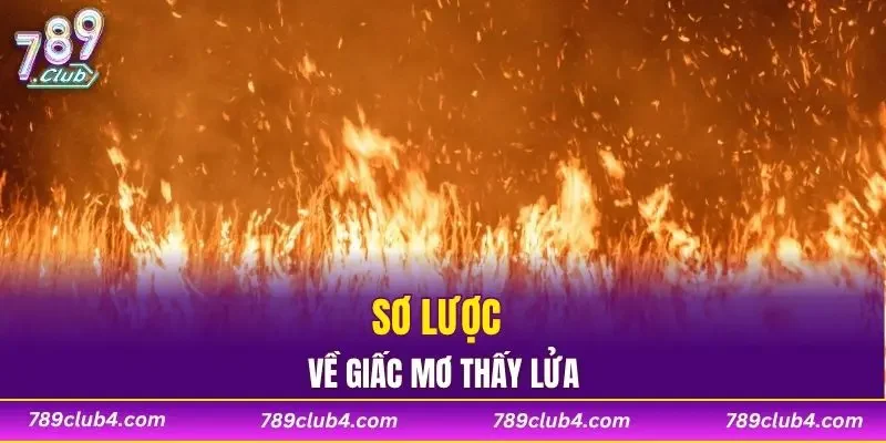 Sơ lược về giấc mơ thấy lửa
