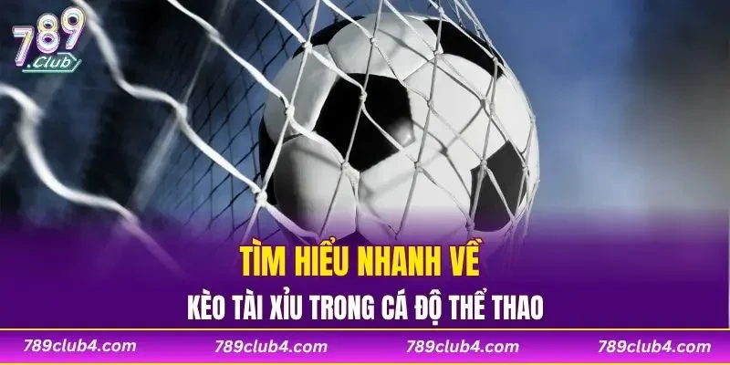 Tìm hiểu nhanh về kèo tài xỉu trong cá độ thể thao